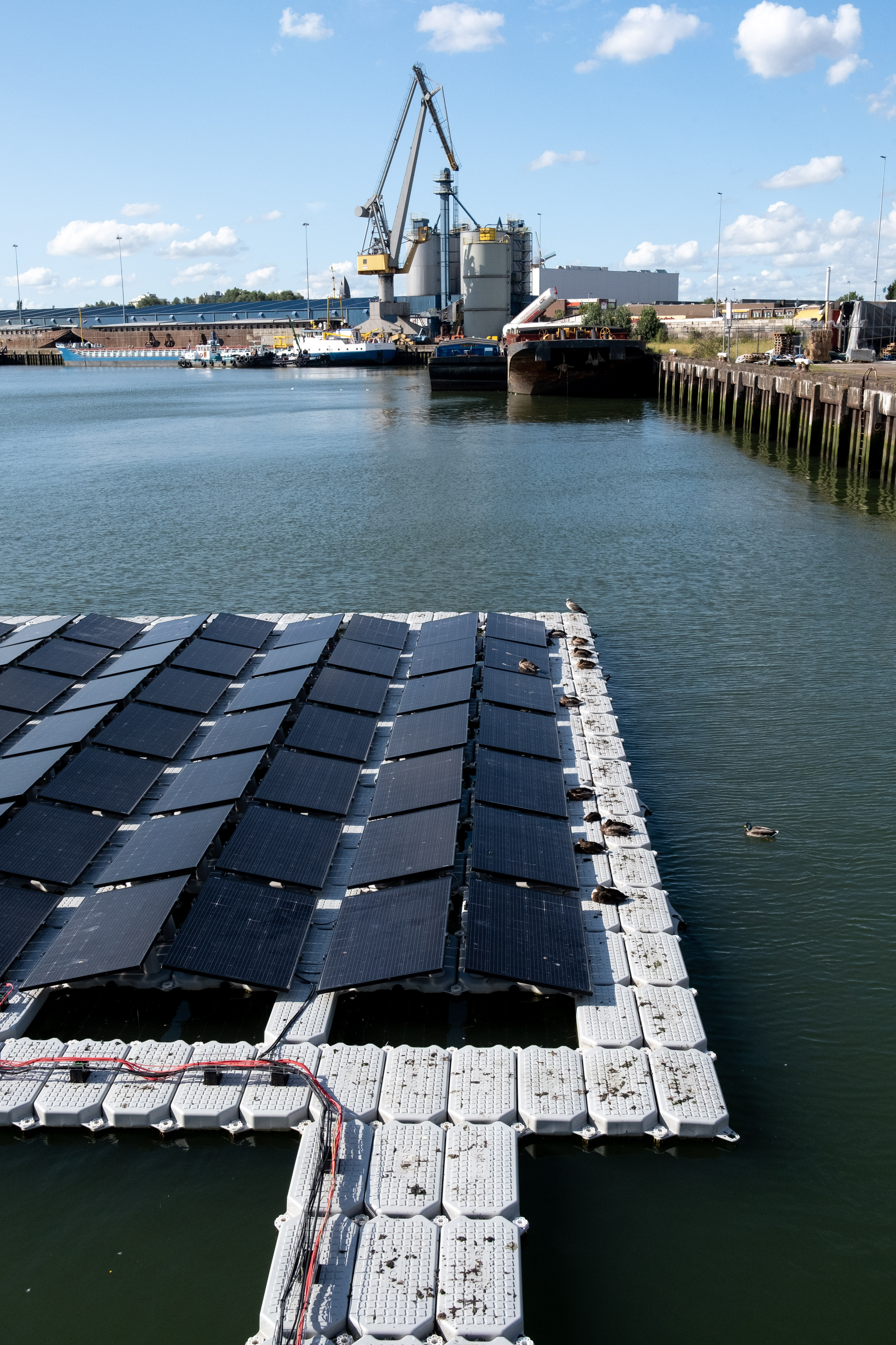 Ground Mount Solar Farm